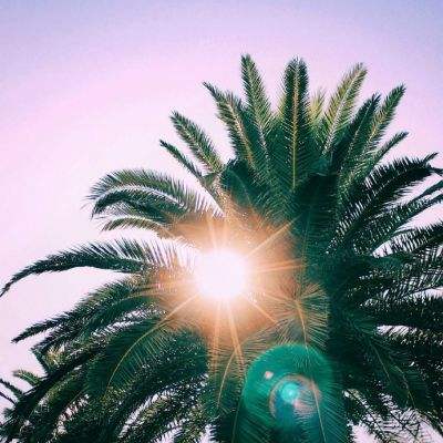 爱体育APPapp下载