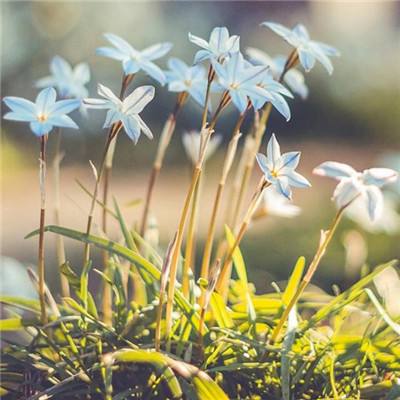 易倍app官网下载