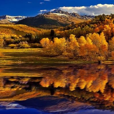 爱游戏全站APP在线平台