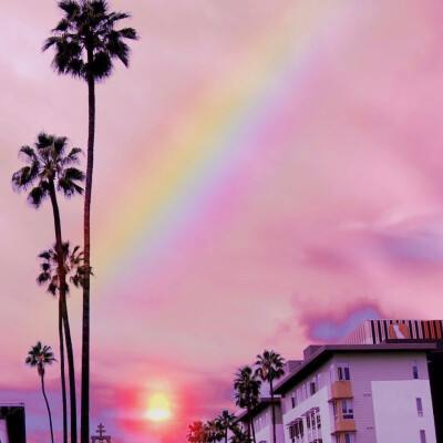 半岛综合娱乐app