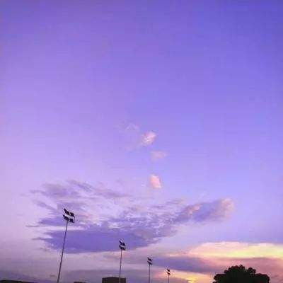 凤凰彩票app下载手机版