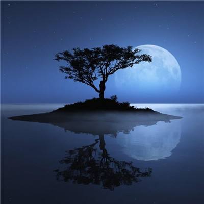 bob半岛平台下载