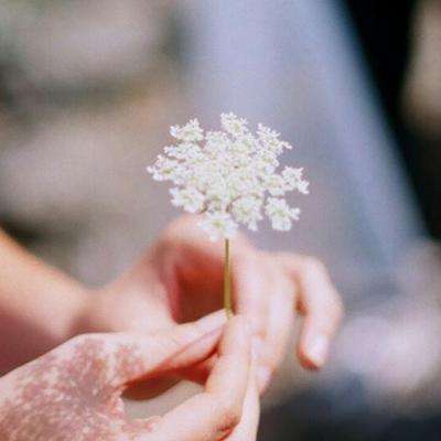 皇冠下载官网app