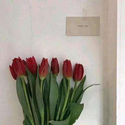 彩神手机app下载