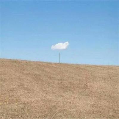 奇亿果体育官方,下载截图